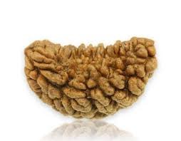 1 MUKHI Kaju (Premium)