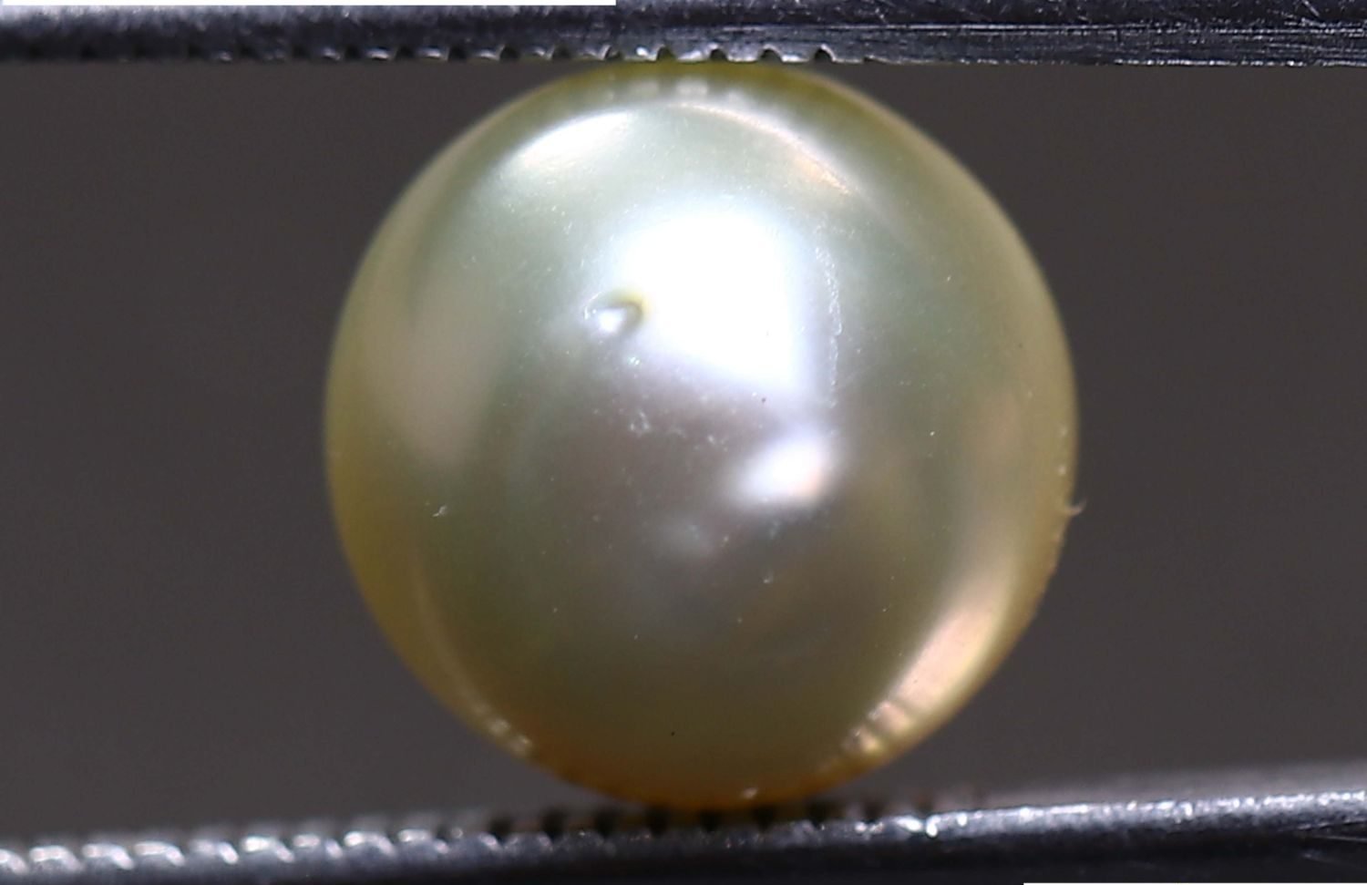 PEARL 5.33 Ct.
