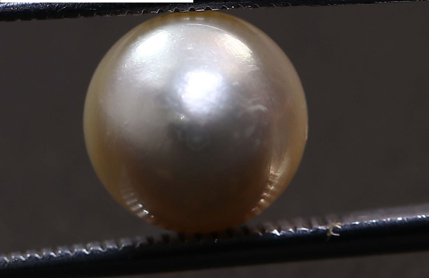 PEARL 5.41 Ct.