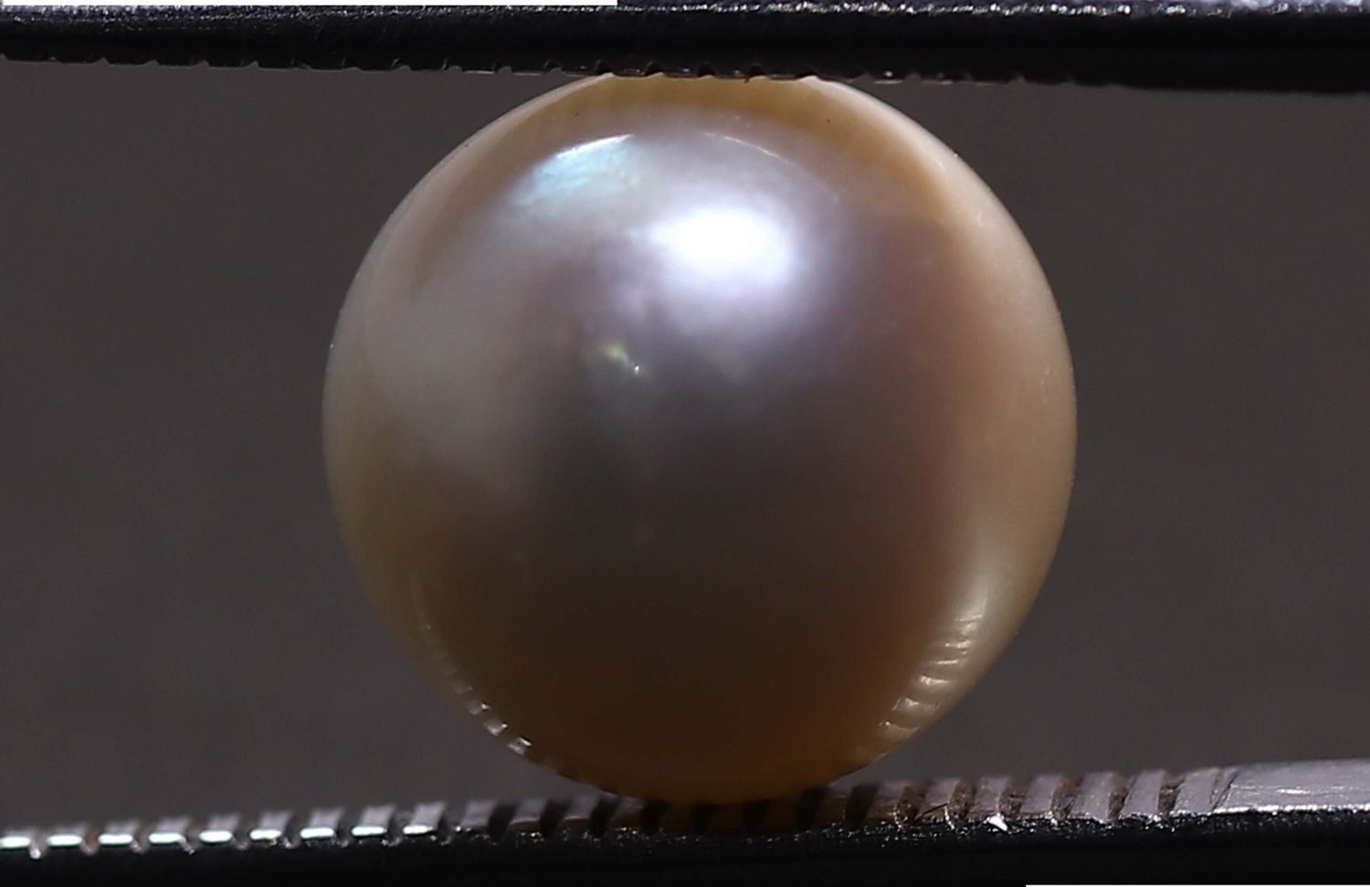 PEARL 5.57 Ct.