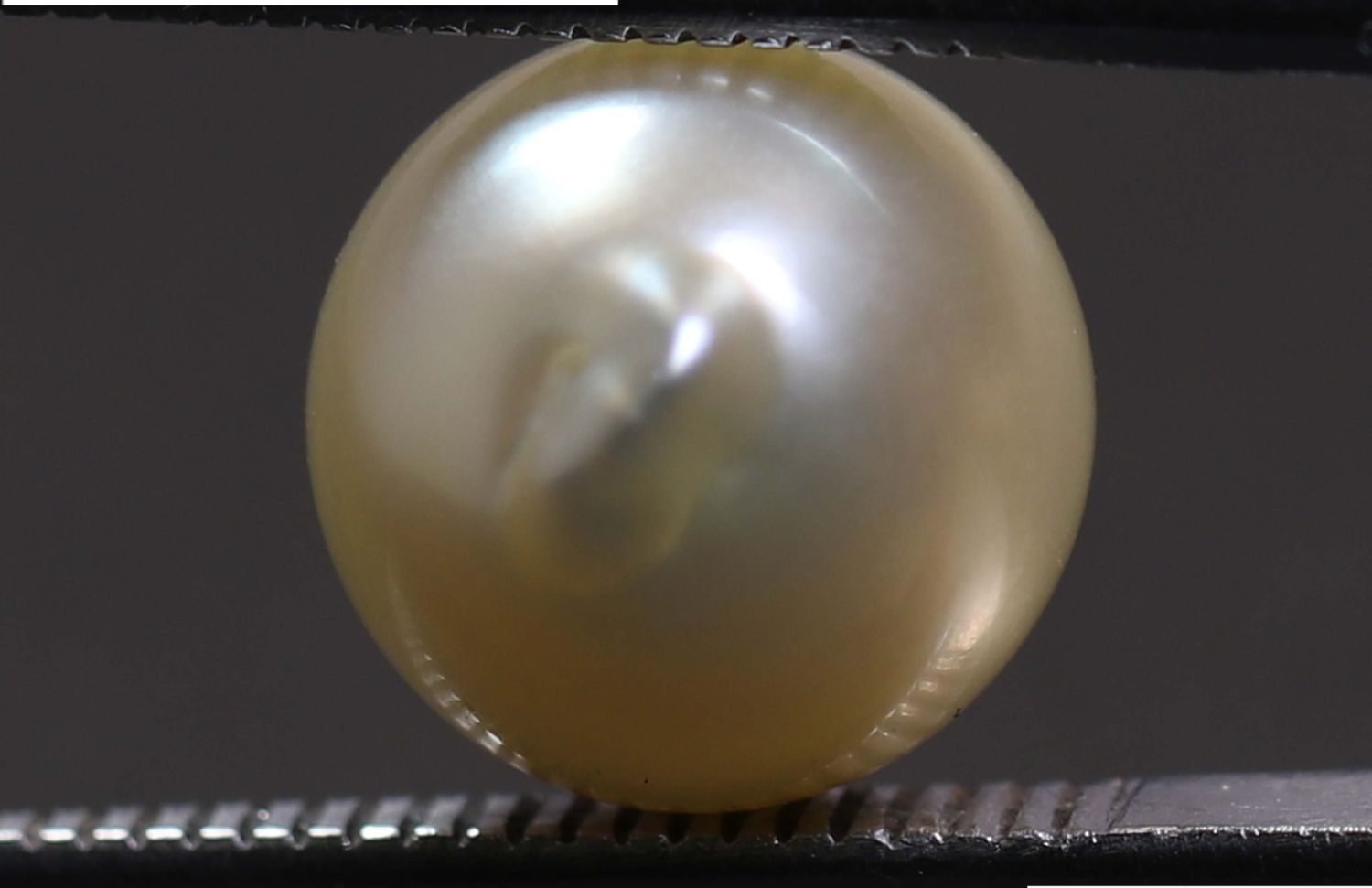 PEARL 5.65 Ct.