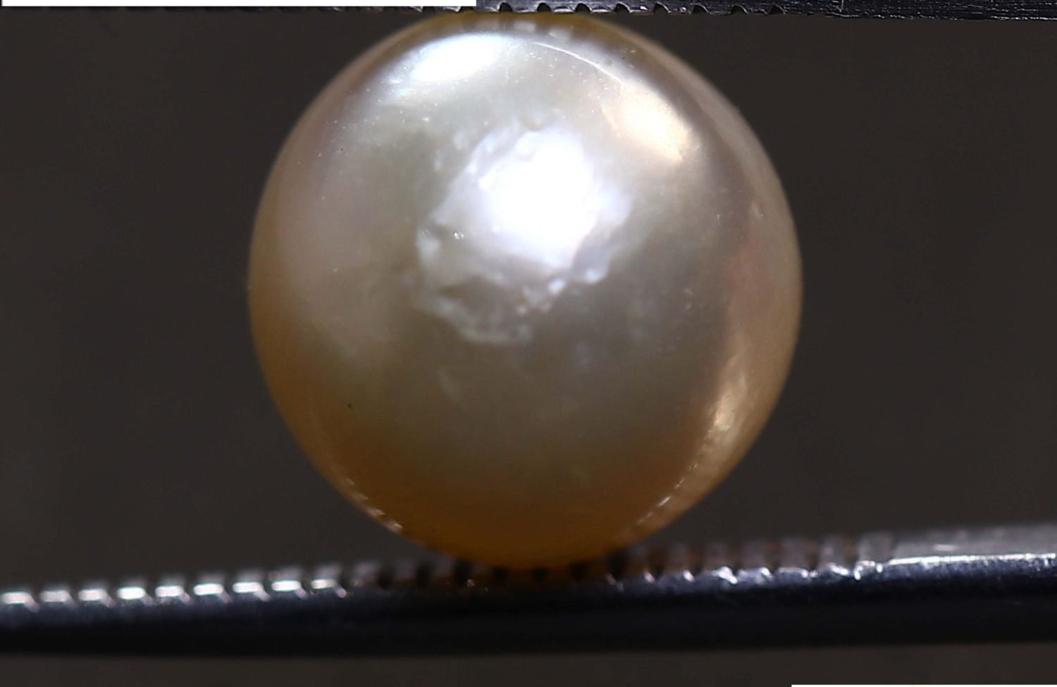 PEARL 5.71 Ct.