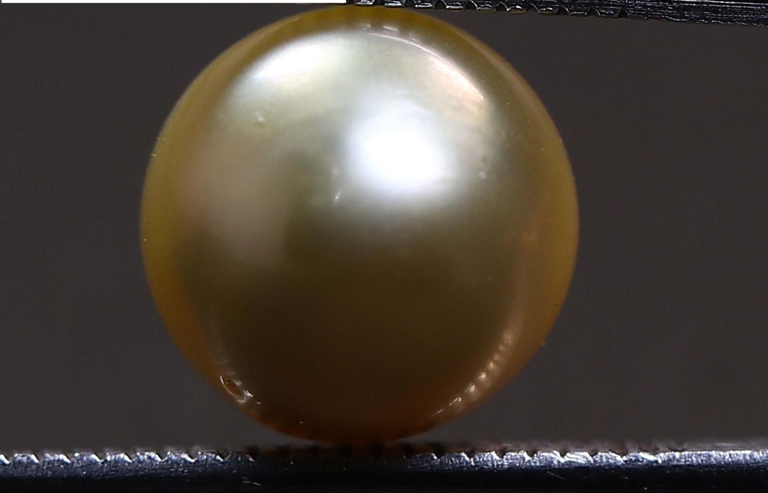 PEARL 5.74 Ct.