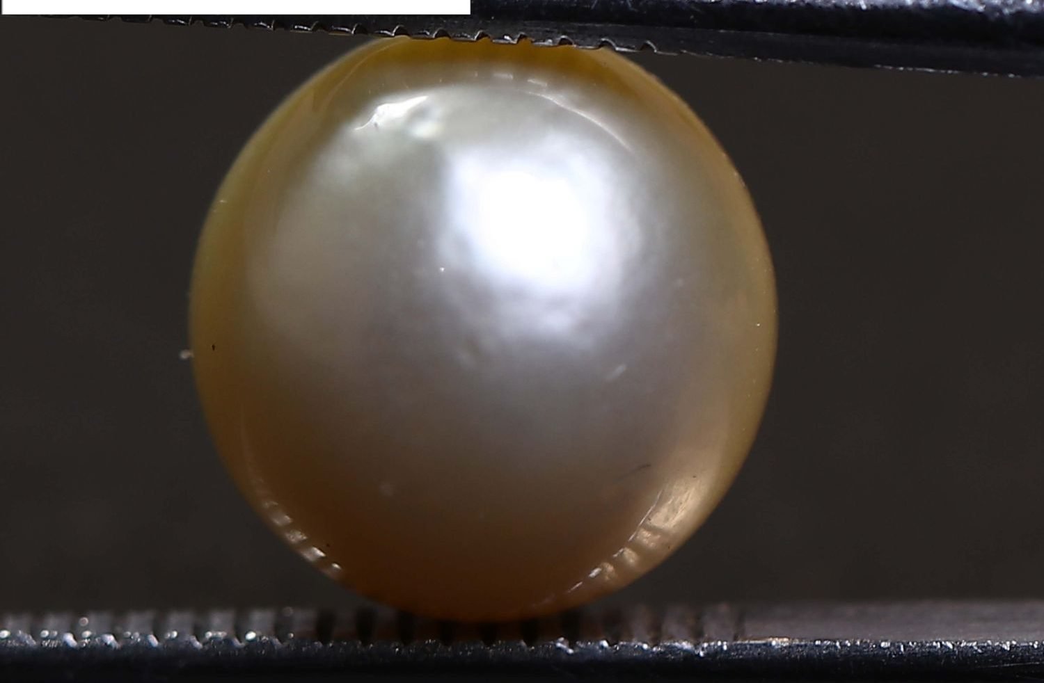 PEARL 5.86 Ct.