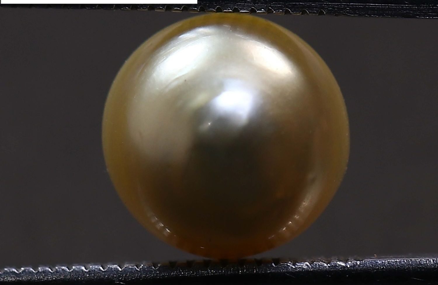 PEARL 5.87 Ct.