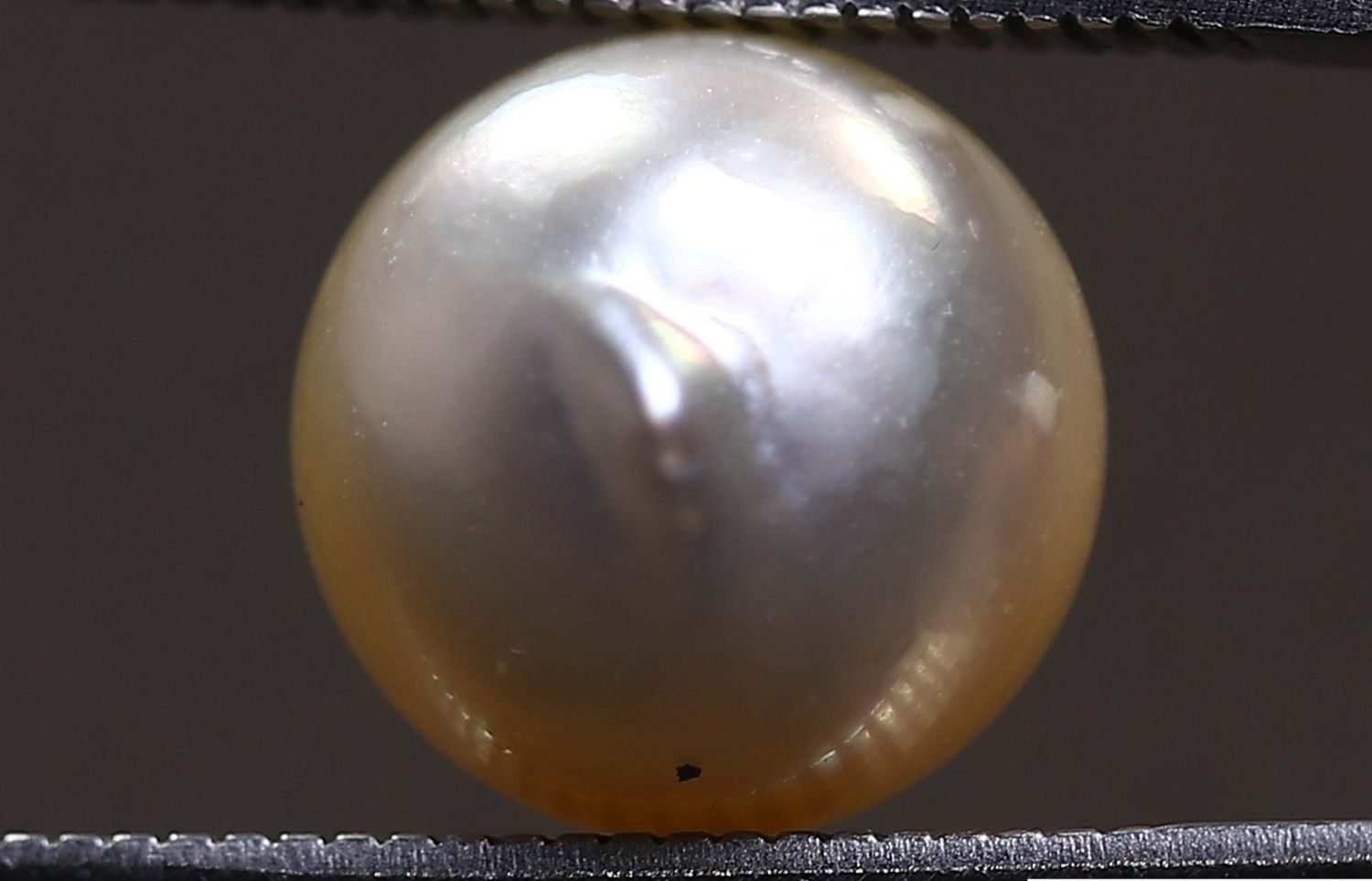 PEARL 5.94 Ct.
