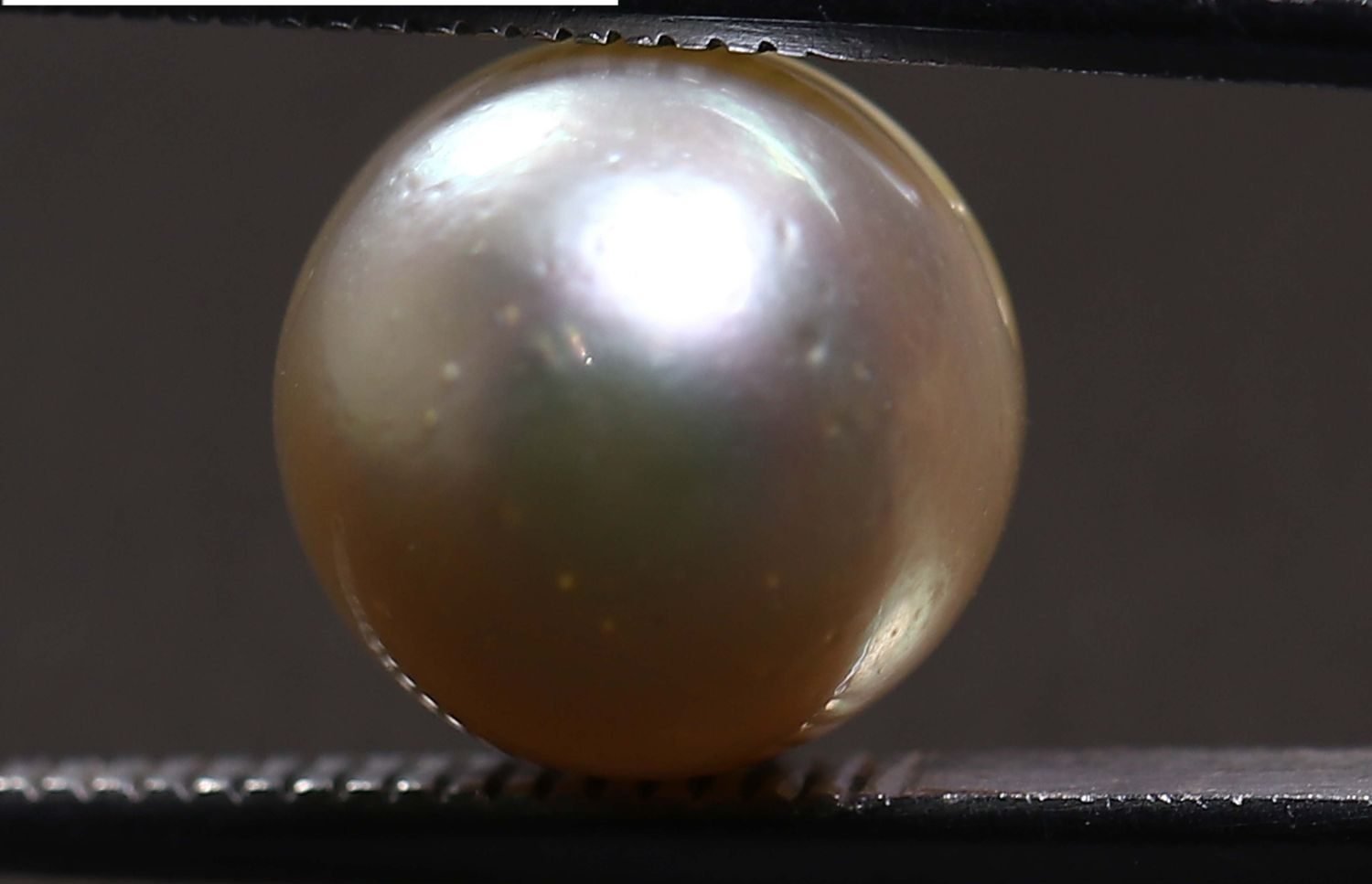PEARL 5.94 Ct.