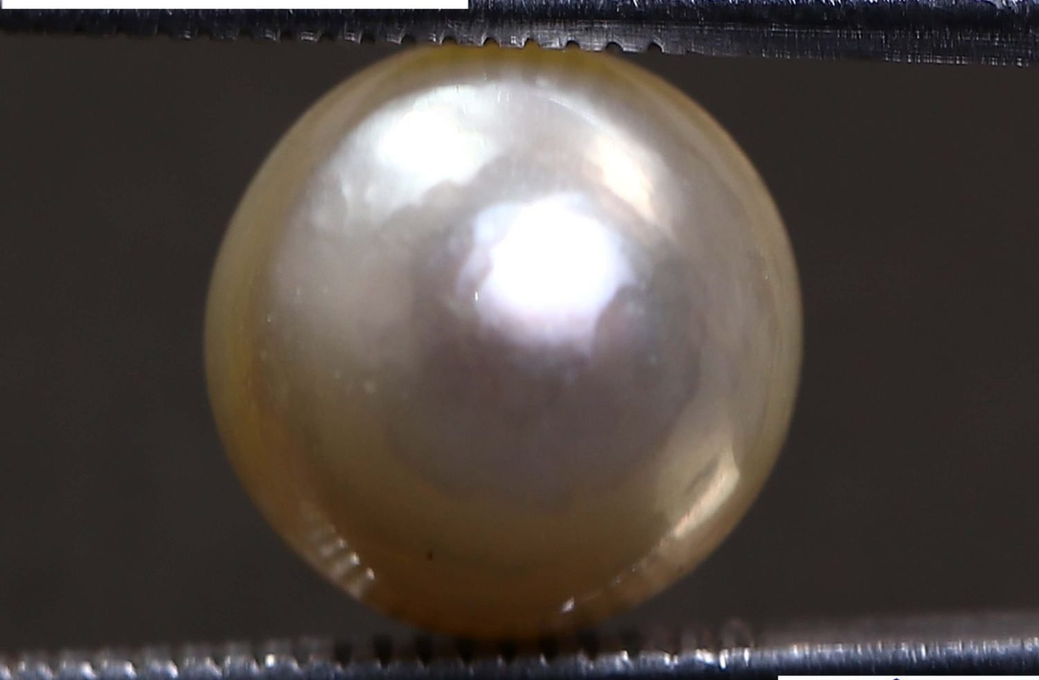 PEARL 6.01 Ct.