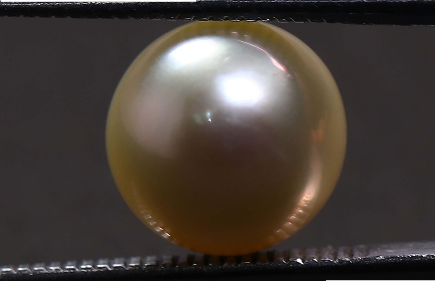 PEARL 6.05 Ct.