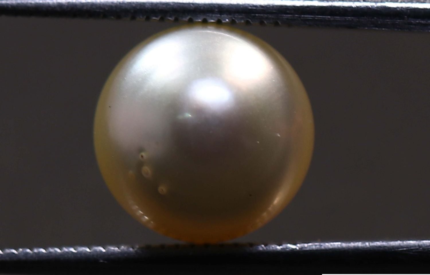 PEARL 6.71 Ct.
