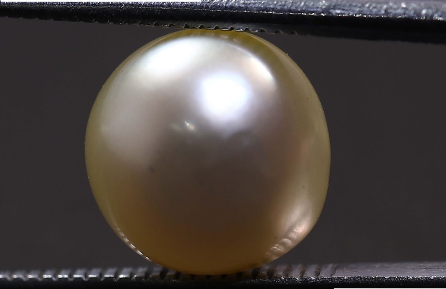 PEARL 7.38 Ct.